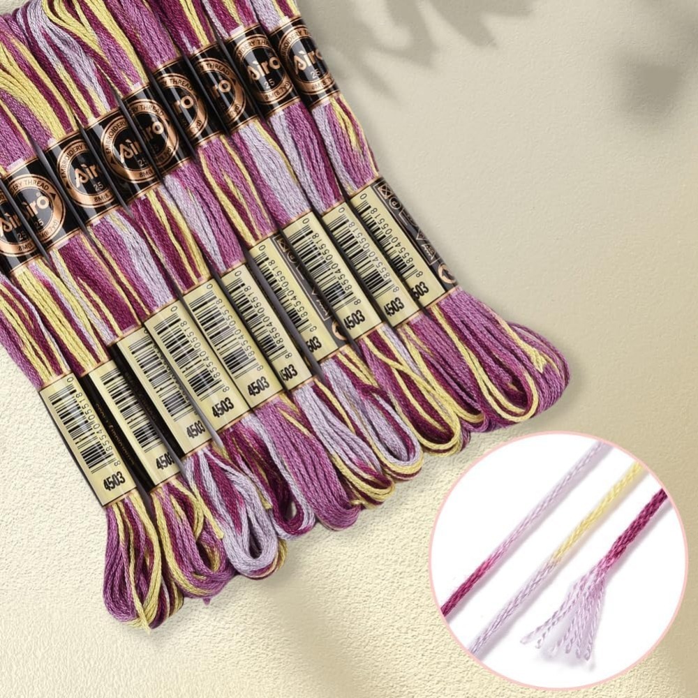 6 Strands Purple Variegated Em - Embroidery Floss Thread ulasan dan harga